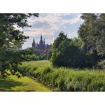 Zdjęcia użytkowników Vivo X60 Pro