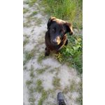 Zdjęcia użytkowników Vivo X60 Pro