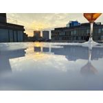 Zdjęcia użytkowników Vivo X60 Pro