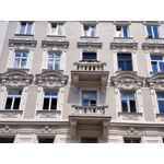 Zdjęcia użytkowników Vivo X60 Pro
