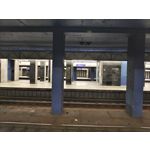 Zdjęcia użytkowników Vivo X60 Pro
