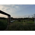 Zdjęcia użytkowników Vivo X60 Pro