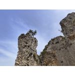 Zdjęcia użytkowników Vivo X80 Pro