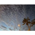 Zdjęcia użytkowników Vivo X80 Pro