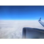 Zdjęcia użytkowników Vivo X90 Pro