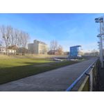 Zdjęcia użytkowników Vivo X90 Pro