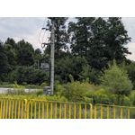 Zdjęcia użytkowników Vivo V80 Zdjęcia użytkowników Vivo V80