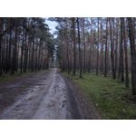 Zdjęcia użytkowników Vivo V80 Zdjęcia użytkowników Vivo V80