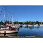 ZDJĘCIA Z TEGO TELEFONU