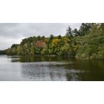 ZDJĘCIA Z TEGO TELEFONU