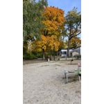 ZDJĘCIA Z TEGO TELEFONU