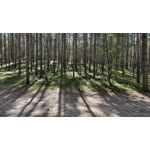 Zdjęcia użytkowników Vivo X200 Pro mini