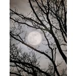 ZDJĘCIA Z TEGO TELEFONU