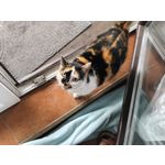 Zdjęcia użytkowników Vivo X200 Pro Zdjęcia użytkowników Vivo X200 Pro