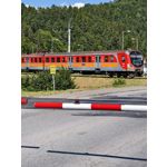 Zdjęcia użytkowników Vivo X200 Pro