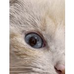 ZDJĘCIA Z TEGO TELEFONU