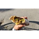 Zdjęcia użytkowników Vivo X200 Pro