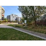 ZDJĘCIA Z TEGO TELEFONU