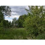 Zdjęcia użytkowników Vivo X300 Pro