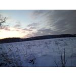 ZDJĘCIA Z TEGO TELEFONU ZDJĘCIA Z TEGO TELEFONU