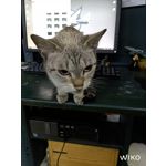 ZDJĘCIA Z TEGO TELEFONU