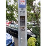 ZDJĘCIA Z TEGO TELEFONU