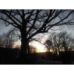 Zdjęcia użytkowników Wiko U Feel Prime