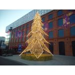 Zdjęcia użytkowników Wiko U Feel Prime