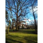 Zdjęcia użytkowników Wiko U Feel Prime