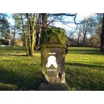 Zdjęcia użytkowników Wiko U Feel Prime