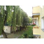 Zdjęcia użytkowników Wiko View 2