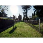 ZDJĘCIA Z TEGO TELEFONU