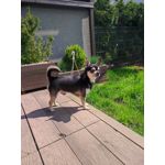 ZDJĘCIA Z TEGO TELEFONU