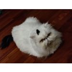 Zdjęcia użytkowników Xiaomi 11T Pro Zdjęcia użytkowników Xiaomi 11T Pro