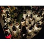 Zdjęcia użytkowników Xiaomi 11T Pro Zdjęcia użytkowników Xiaomi 11T Pro