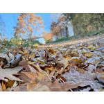 Zdjęcia użytkowników Xiaomi 11T Pro Zdjęcia użytkowników Xiaomi 11T Pro