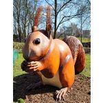 Zdjęcia użytkowników Xiaomi 11T Pro Zdjęcia użytkowników Xiaomi 11T Pro