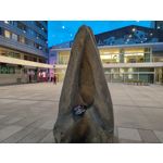 Zdjęcia użytkowników Xiaomi 11T Pro Zdjęcia użytkowników Xiaomi 11T Pro