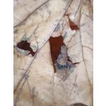 Zdjęcia użytkowników Xiaomi 11T