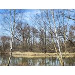 Zdjęcia użytkowników Xiaomi 12 Pro Zdjęcia użytkowników Xiaomi 12 Pro