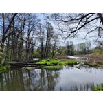 Zdjęcia użytkowników Xiaomi 12 Pro Zdjęcia użytkowników Xiaomi 12 Pro