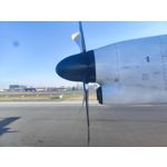 Zdjęcia użytkowników Xiaomi 12 Pro Zdjęcia użytkowników Xiaomi 12 Pro