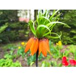 Zdjęcia użytkowników Xiaomi 12 Pro Zdjęcia użytkowników Xiaomi 12 Pro