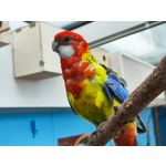 Zdjęcia użytkowników Xiaomi 12 Pro Zdjęcia użytkowników Xiaomi 12 Pro