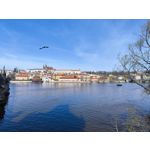 Zdjęcia użytkowników Xiaomi 12 Pro Zdjęcia użytkowników Xiaomi 12 Pro