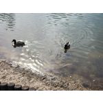 Zdjęcia użytkowników Xiaomi 12 Pro Zdjęcia użytkowników Xiaomi 12 Pro