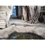 Zdjęcia użytkowników Xiaomi 12 Pro Zdjęcia użytkowników Xiaomi 12 Pro