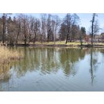 Zdjęcia użytkowników Xiaomi 12 Pro Zdjęcia użytkowników Xiaomi 12 Pro