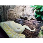 Zdjęcia użytkowników Xiaomi 12 Pro Zdjęcia użytkowników Xiaomi 12 Pro