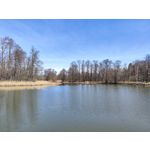 Zdjęcia użytkowników Xiaomi 12 Pro Zdjęcia użytkowników Xiaomi 12 Pro